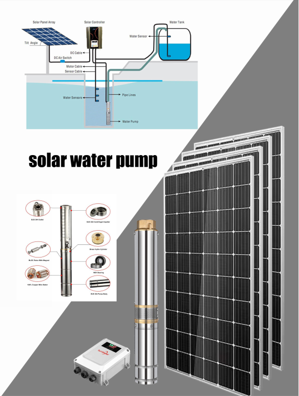 From Sunlight To Flowing Water: The Science Behind Solar Water Pumps