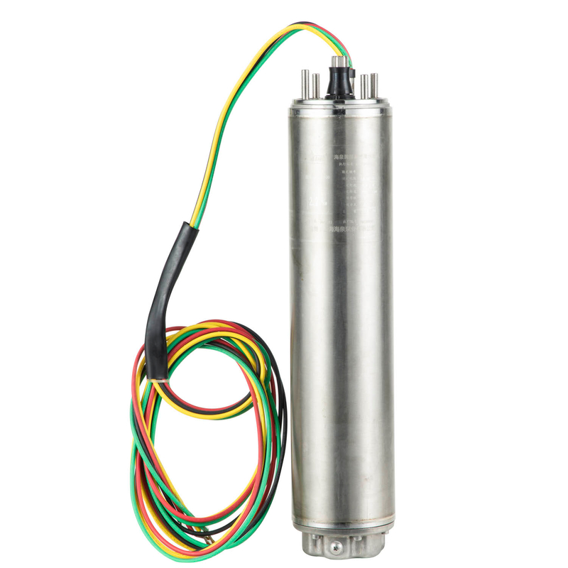 SS304 Encapsulated Submersible Motor