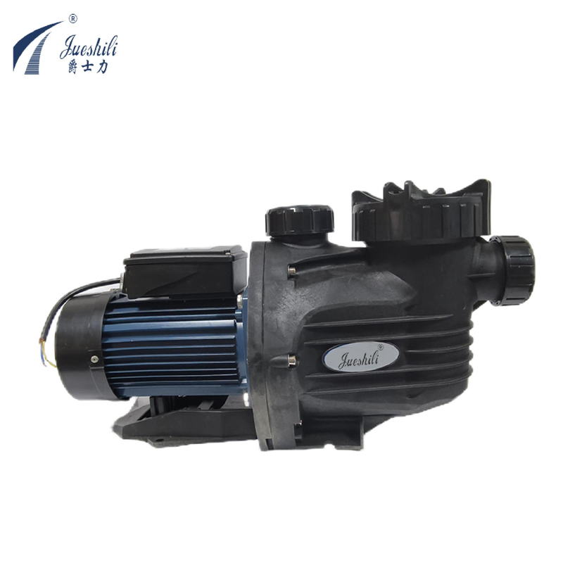 Heavy-Duty Swimming Pool Pump for All Weather Conditions