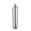 SS304 Encapsulated Submersible Motor